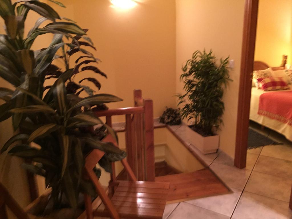 Apartmán La Fusteria Del Casat Sarroca de Bellera Exteriér fotografie